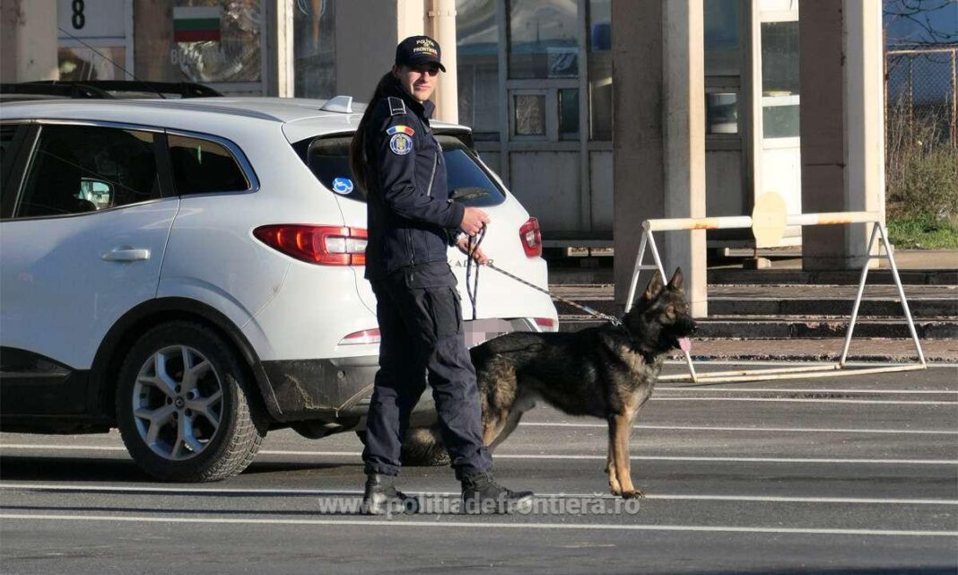 polițist de frontiera