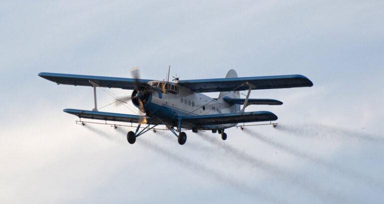 avion tânțari