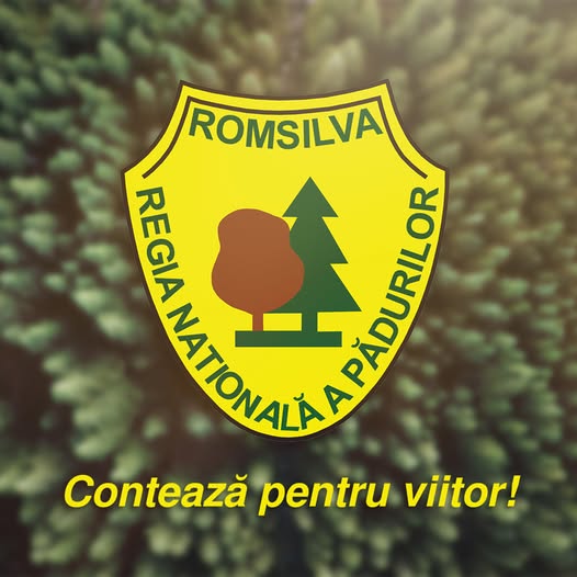 Romsilva