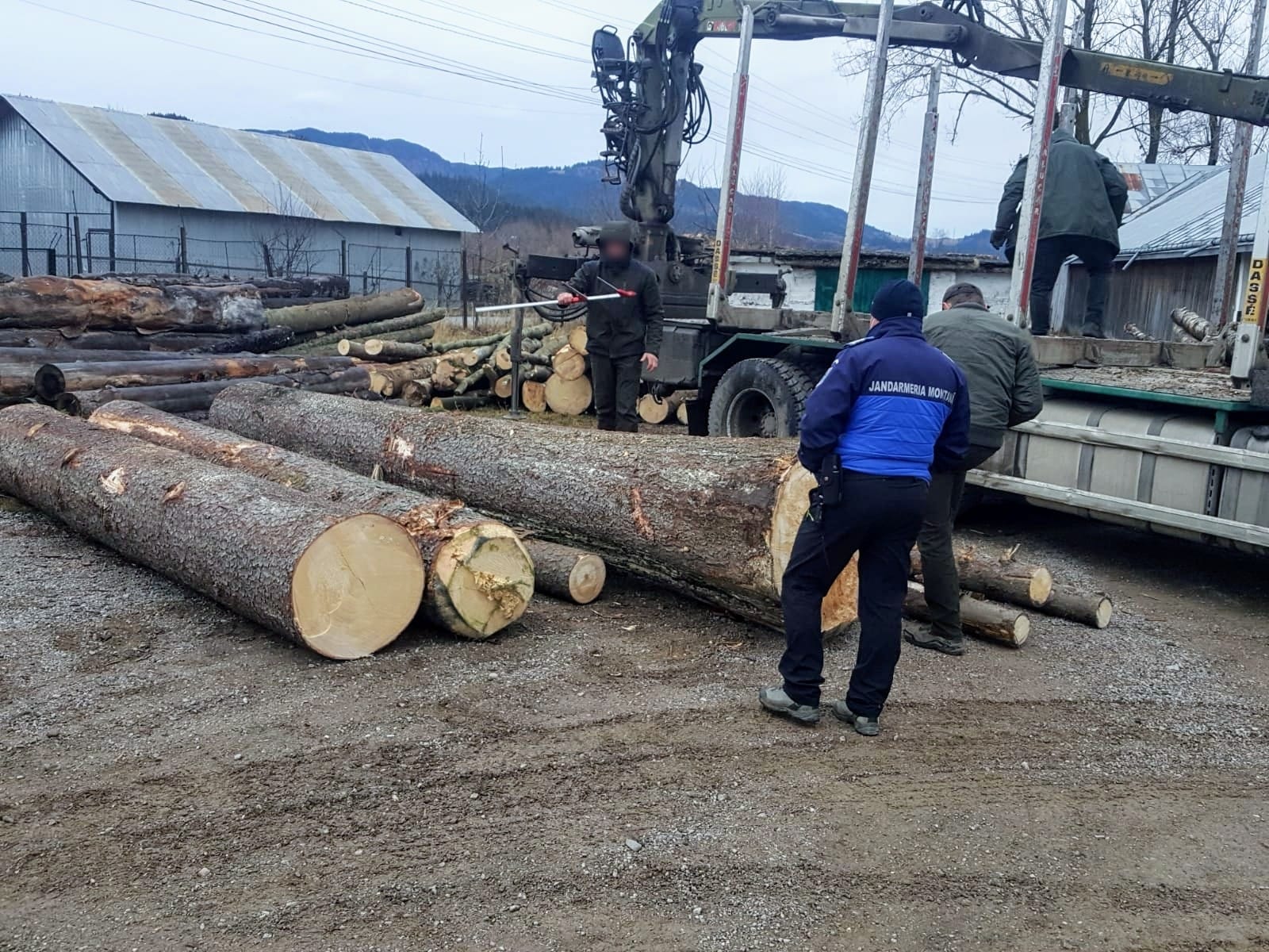 transport ilegal de material lemnos, sursa foto IPJ Suceava