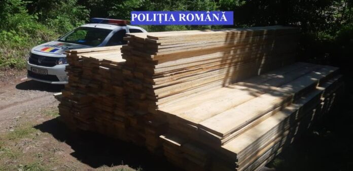 material lemnos, sursă foto Opinia Transilvană